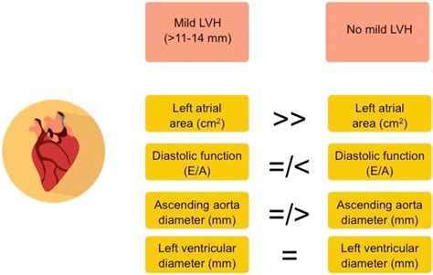 lv hypertrophy|left ventricular hypertrophy nice guidelines.